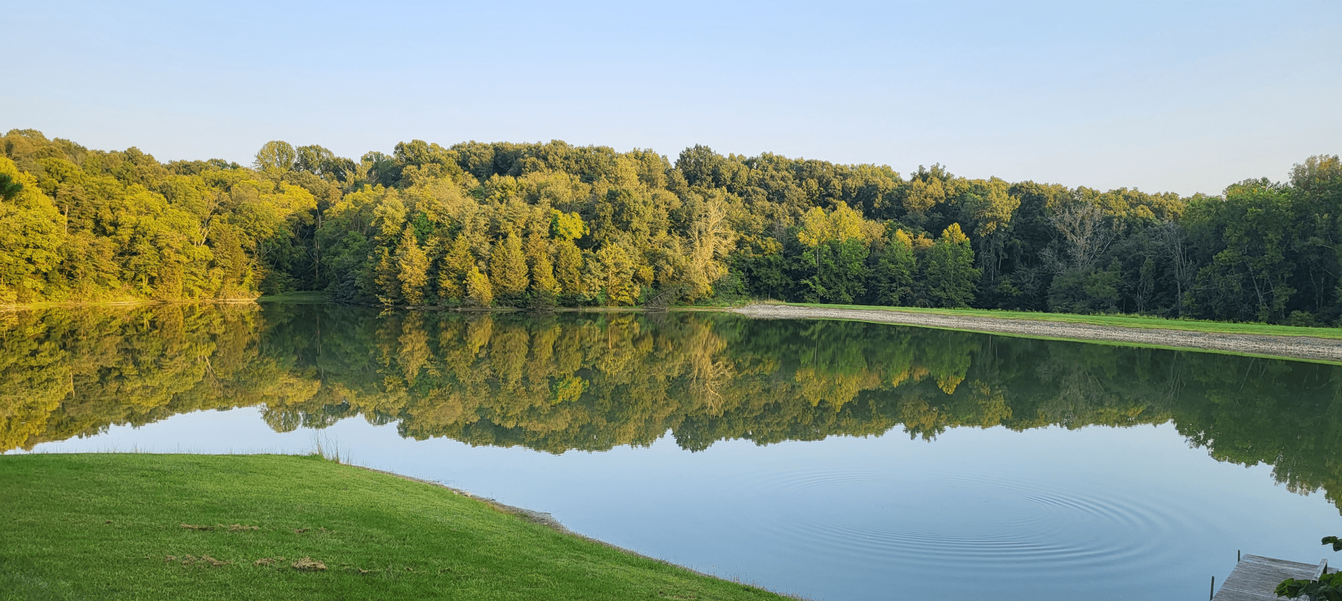 Tranquil waters and lush greenery