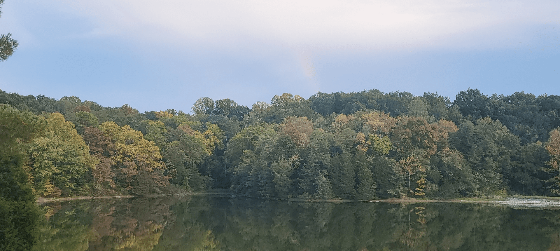 Peaceful lakeside woodland view